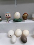 A collection of ostrich and emu eggs including 2 decorated