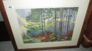 A framed and glazed watercolour of woodland by E Hopkins