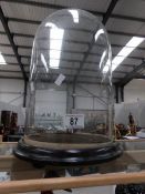 A 19th century glass display dome on ebonised base