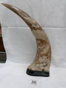 A buffalo horn with Asian carvings