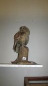 Taxidermy - an owl