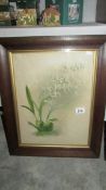 A framed and glazed botanical print