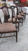 3 dining chairs and 2 matching carvers