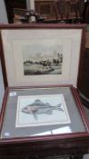 3 coloured engravings of fish and a coloured engraving of a fishing scene