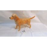 A Beswick labrador dog