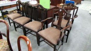 3 dining chairs and 2 matching carver chairs