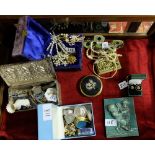 Group of costume jewellery etc incl. glass brooches, 6 pill boxes (some enamelled), powder