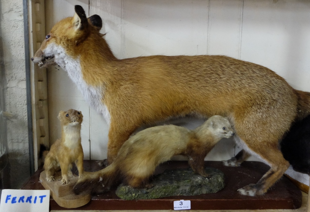 Stuffed fox on stand & 2 stuffed ferrets (3)