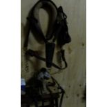 Horse harness with collar & straddle