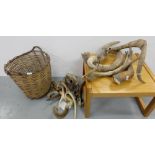 Group of various horns and antlers from cows, deer etc, in basket