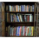 3 shelves of books of Irish interest and 20 volumes The Guinness Book of Records