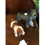Beswick model of a Wire Haired Terrier and Royal Doulton model of a Springer Spaniel.