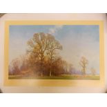 DAVID SHEPHERD SIGNED LIMITED EDITION PRINT 'LAST LEAVES OF AUTUMN' NUMBER 319/850 SIGNED IN PENCIL,