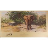 DAVID SHEPHERD SIGNED LIMITED EDITION PRINT 'TEMBO MZEE' NUMBER 593/850 SIGNED IN PENCIL WITH