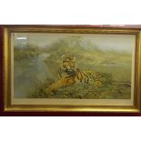 DAVID SHEPHERD SIGNED LIMITED EDITION PRINT 'TIGER IN THE SUN' NUMBER 217/850 SIGNED IN PENCIL WITH