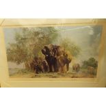 DAVID SHEPHERD SIGNED LIMITED EDITION PRINT 'ELEPHANTS AND EGRETS' NUMBER 237/1300 SIGNED IN PENCIL