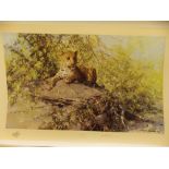 DAVID SHEPHERD SIGNED LIMITED EDITION PRINT 'THE SENTINEL' NUMBER 782/1500 SIGNED IN PENCIL WITH