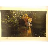 DAVID SHEPHERD SIGNED LIMITED EDITION PRINT 'BURNING BRIGHT' NUMBER 681/2000 SIGNED IN PENCIL WITH