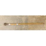 HAZEL WALKING CANE WITH RAM'S HEAD FINIAL 97CM