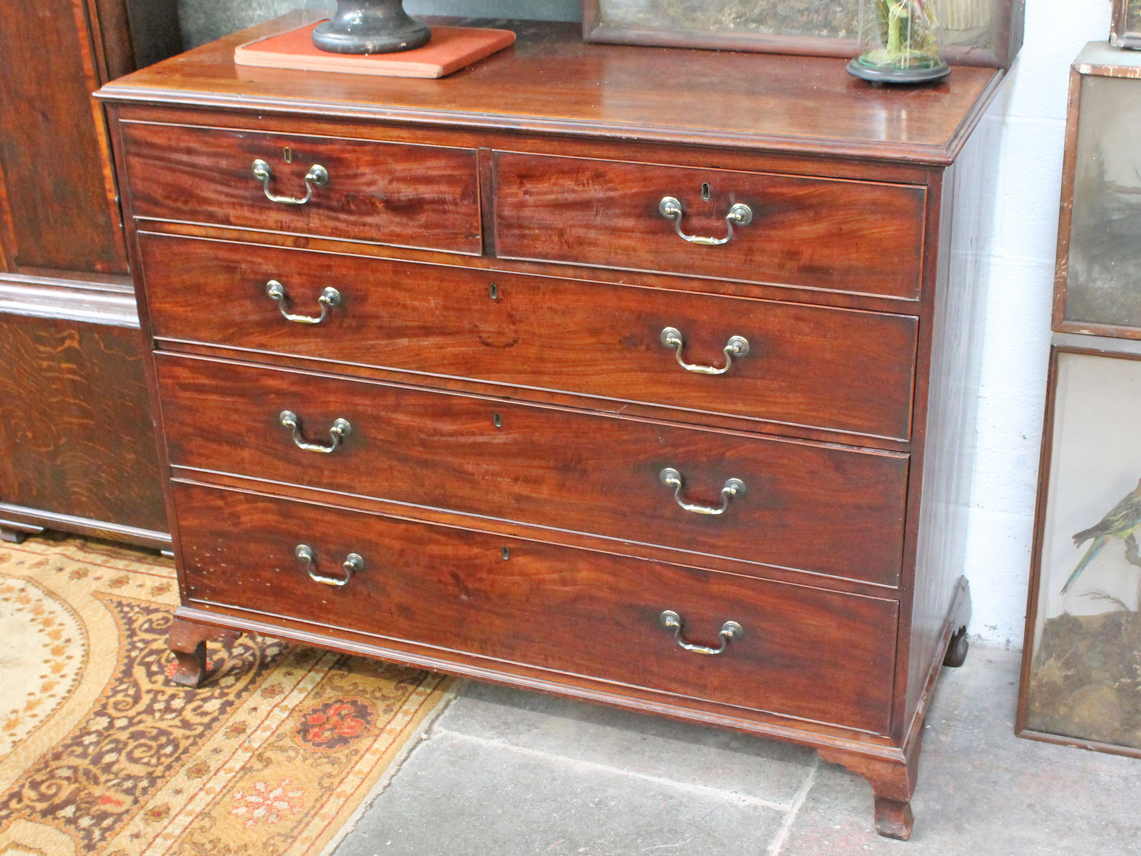 A Georgian mahogany chest of drawers having bras loop handles and ogee bracket feet. W125cm D56cm