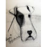 A charcoal drawing of the fox terrier champion "Rogerly Speculation", 23cm x 29cm, initialled 'JR',