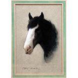 Pastel horse head portrait, 19cm x 27cm, signed, framed and glazed.