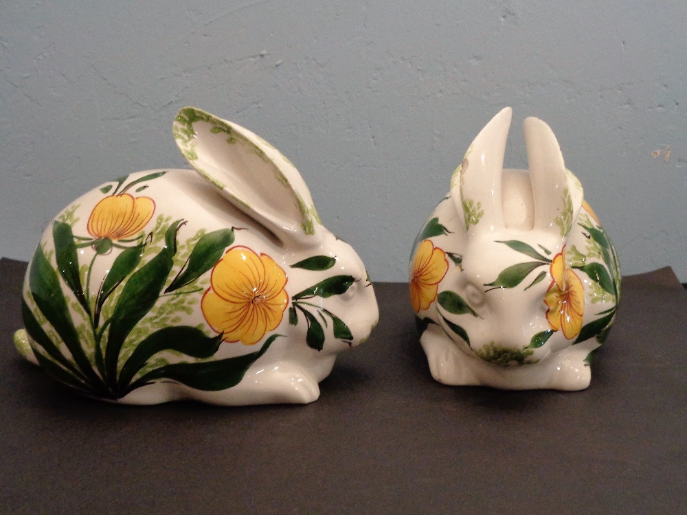 A Pair of Rabbits