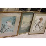 Three Framed and Glazed Isabel Napier Watercolours - Cockatoo, Hoopoe and Tete-a-Tete