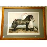 After Landseer, Maple Framed Coloured engraving ' Free Trade - Warranted Sound '