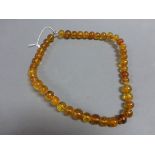 Amber bead necklace