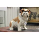 Boxed Large Leonardo Collection Bulldog