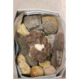 Two Boxes of Geological Fossils and other items