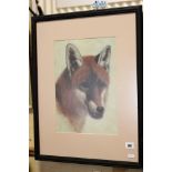 Oil painting wildlife study portrait of a fox