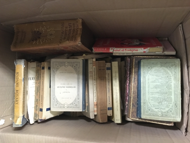 Box of Mixed Vintage French Books