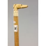 An antique walking stick with carved ivory greyhound handle