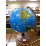 Light-Up Scan Globe