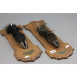 Pair of French Deer Leg and Hoof Trophies mounted on Oak Shield Plaques with brass mounts dated 1959