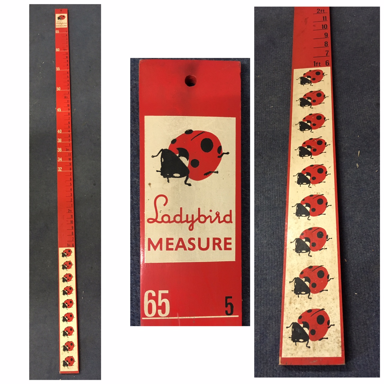 Vintage wooden Ladybird children's measuring stick