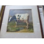 An oak framed Bovine oil painting study of a cow in a landscape