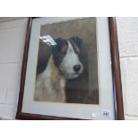 Framed oil printing study of a Jack Russell