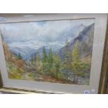 Florence Lucas Brewer watercolour of Forest Alpine mountain scene signed, framed & glazed