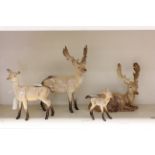 Beswick Stag model no. 981, Beswick Doe model 999a, Stag lying model no. 954 and Beswick Fawn