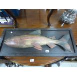 Mounted craved & painted wooden trout