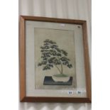 Framed and Glazed Oriental Picture of a Bonsai Tree