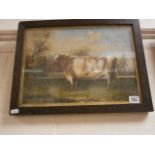 An oak framed oil painting of a bovine study of a cow in a pasture