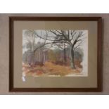 Mavis Budd; two framed watercolours of woodland scenes together with Fit for a Duchess and Dust to