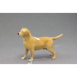 A Beswick model of a labrador; Wendover