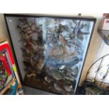 Large Glazed Display Cabinet containing a Taxidermy Display of British Birds in a naturalistic