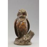 Early 20th century Black Forest Carved Walnut Tobacco Jar in the form of an Owl with Glass Eyes