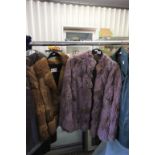 Real Fur Ladies Short Jacket (size 14) together with Pink French Rabbit Short Jacket
